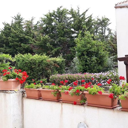 Villino Messina Apartman San Vito Lo Capo Kültér fotó