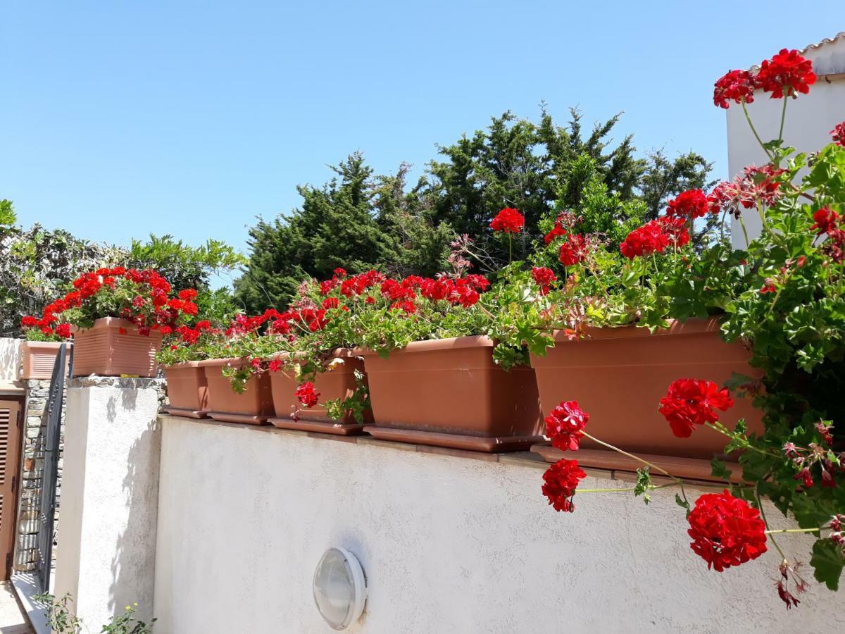 Villino Messina Apartman San Vito Lo Capo Kültér fotó
